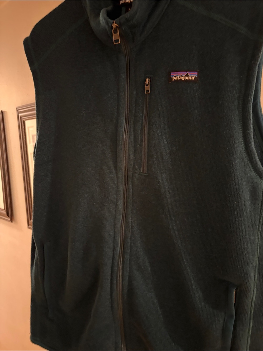 Patagonia Men's Forest Green Full-Zip Sweater Vest